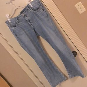 Silver Jeans Elyse Low Rise Bootcut Plus Size 18W